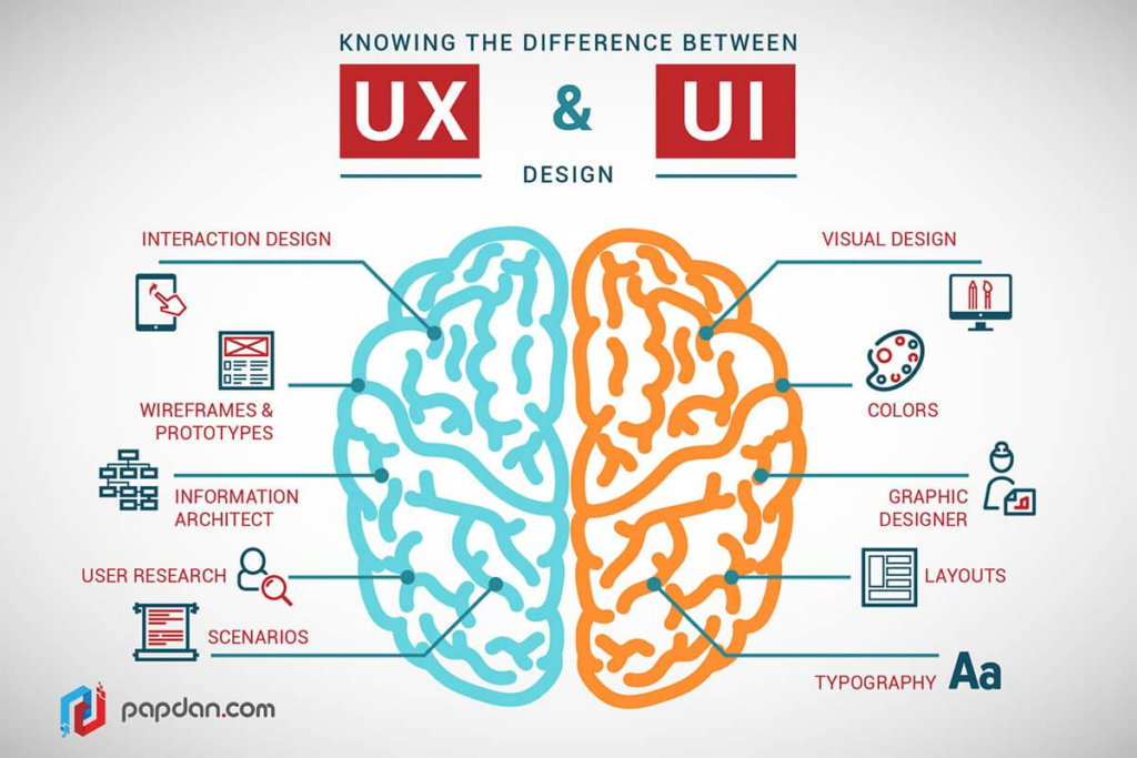 Infographie comparant UX et UI design avec un cerveau divisé&nbsp;: UX à gauche (recherche utilisateur, wireframes, architecture) et UI à droite (couleurs, typographie, layouts).